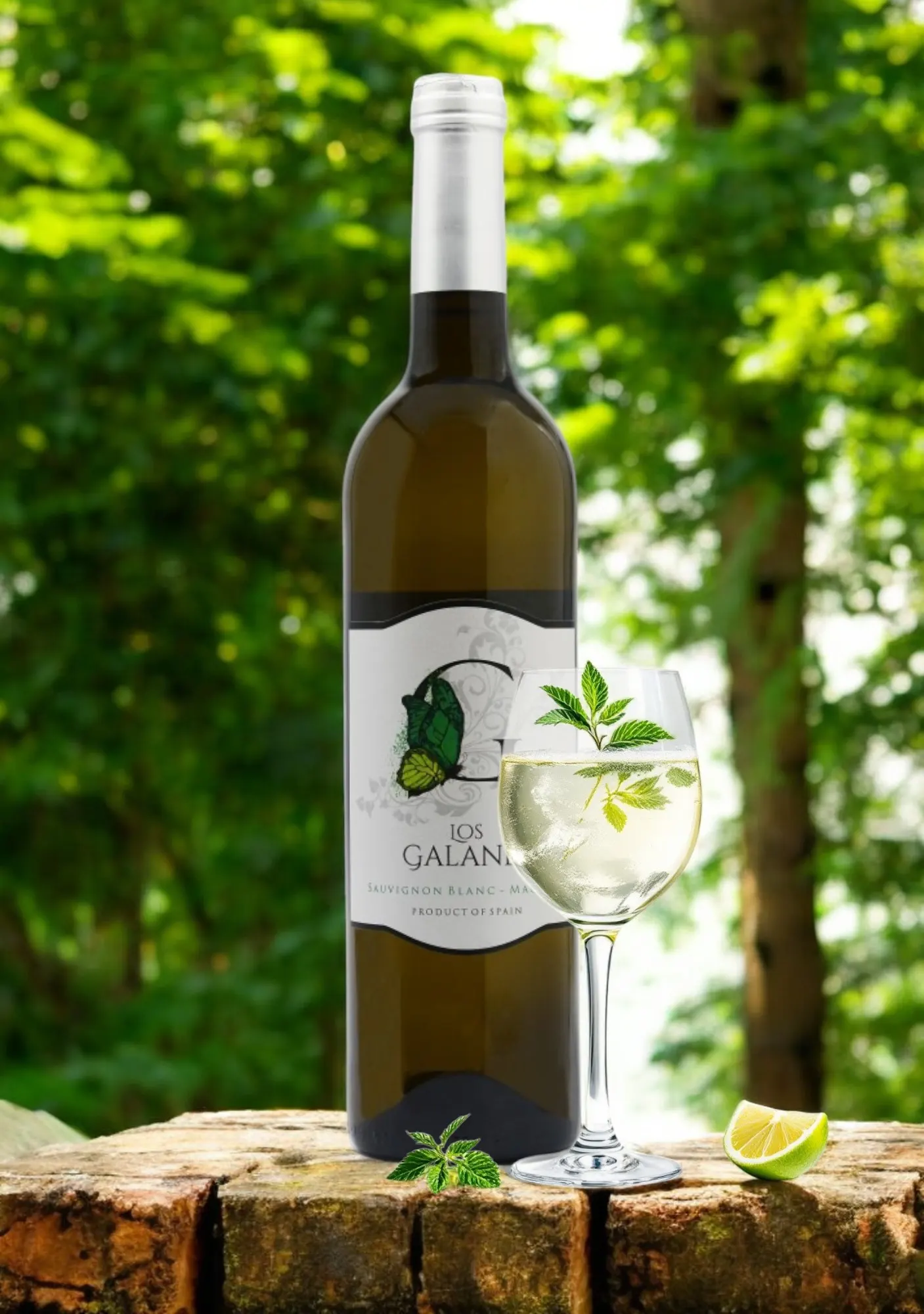 LOS GALANES Sauvignon blanc – Macabeo D.O. LA MANCHA: Купажно младо бяло вино създадено от необичайната комбинацията
